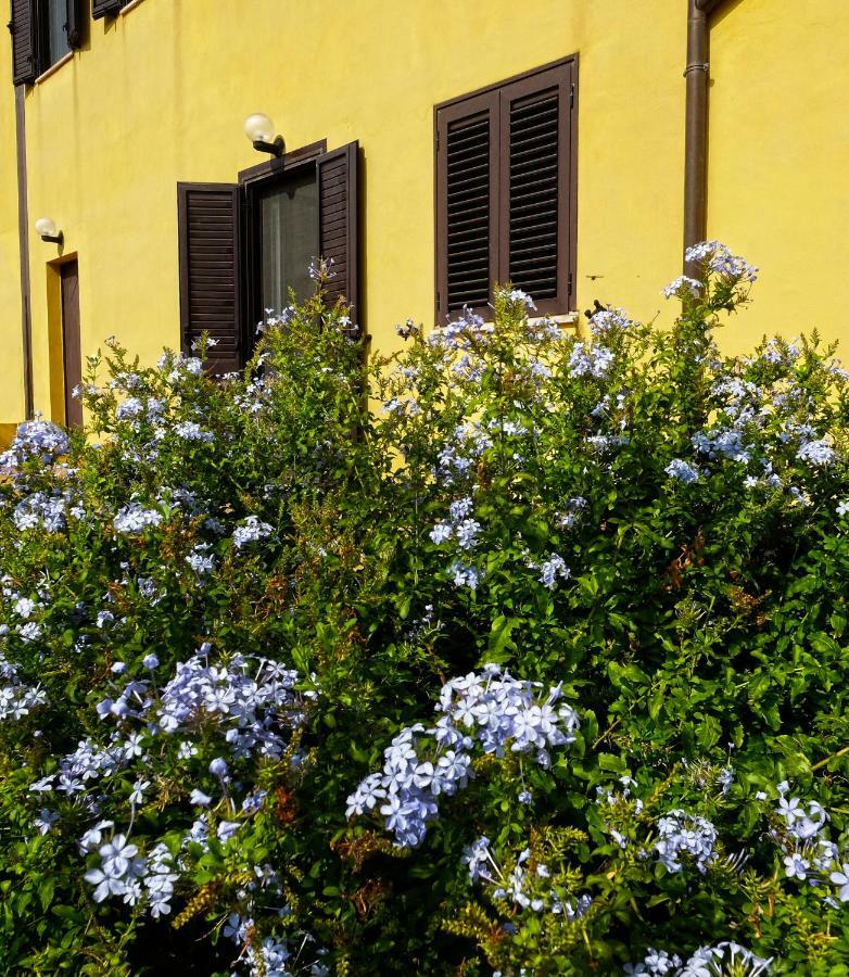 אנקונה Vistazzurra B&B מראה חיצוני תמונה