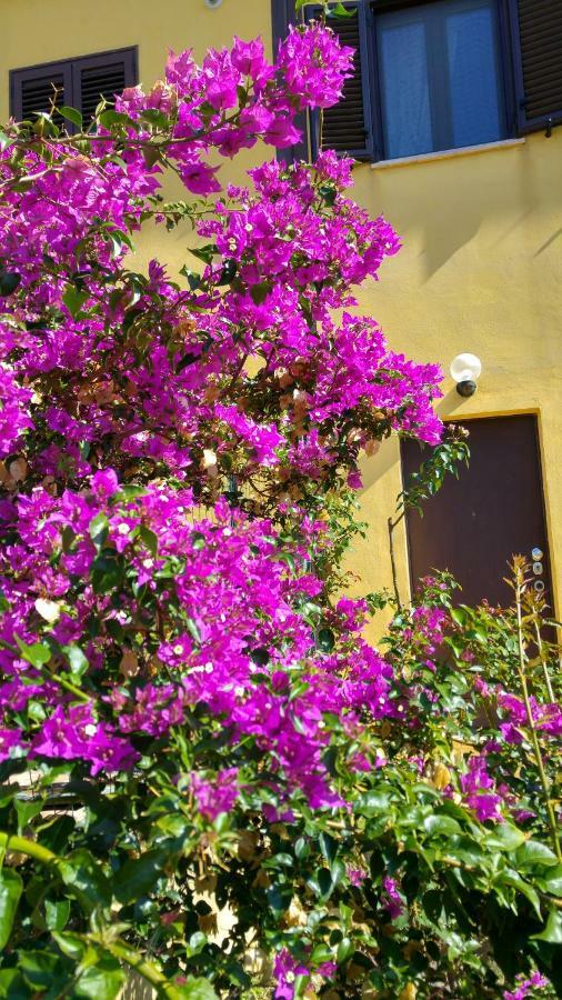 אנקונה Vistazzurra B&B מראה חיצוני תמונה